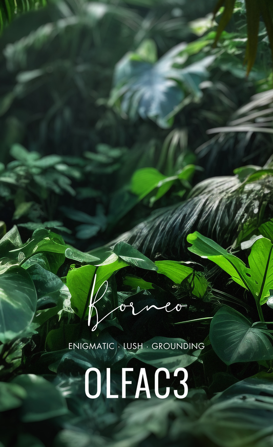 Borneo |   Enigmatic · Lush · Grounding